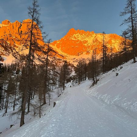 Romantikapartment Mit Sommercard Ramsau am Dachstein Eksteriør billede