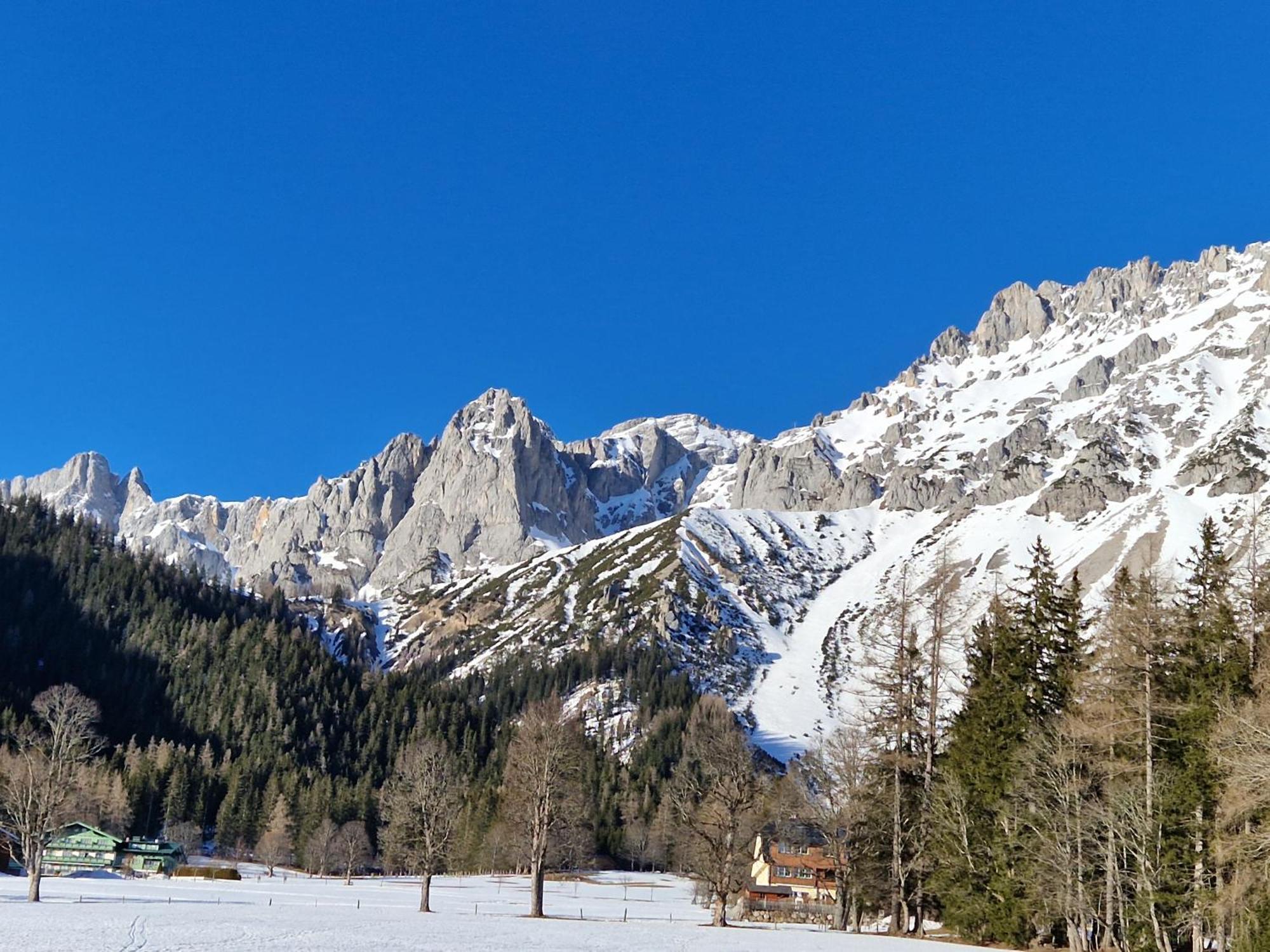 Romantikapartment Mit Sommercard Ramsau am Dachstein Eksteriør billede