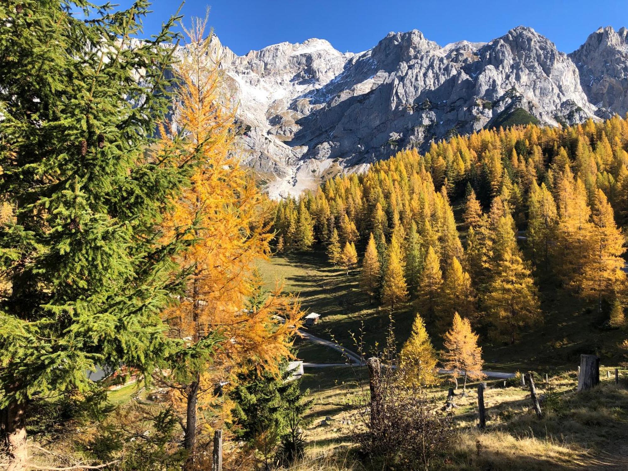 Romantikapartment Mit Sommercard Ramsau am Dachstein Eksteriør billede