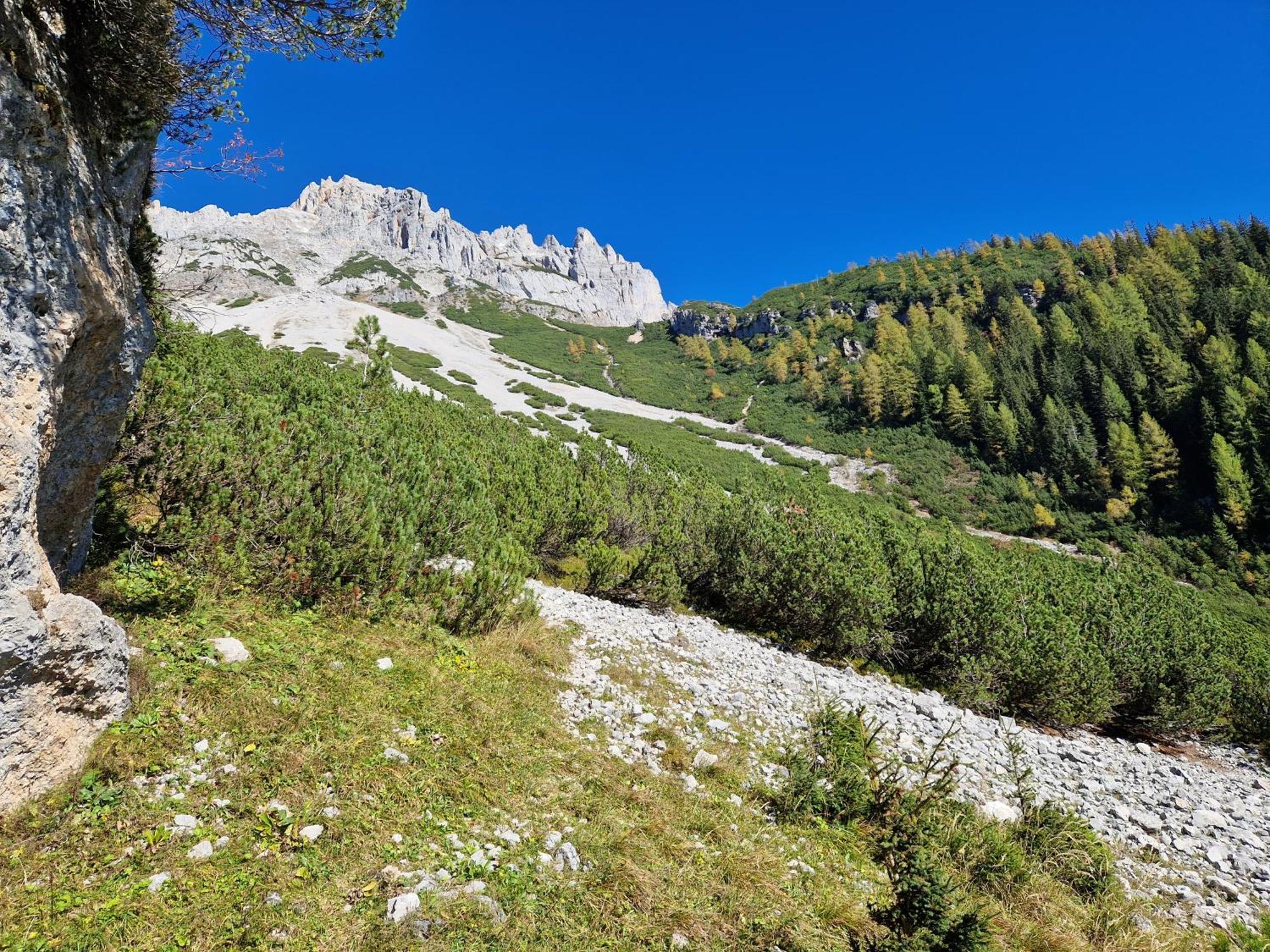 Romantikapartment Mit Sommercard Ramsau am Dachstein Eksteriør billede