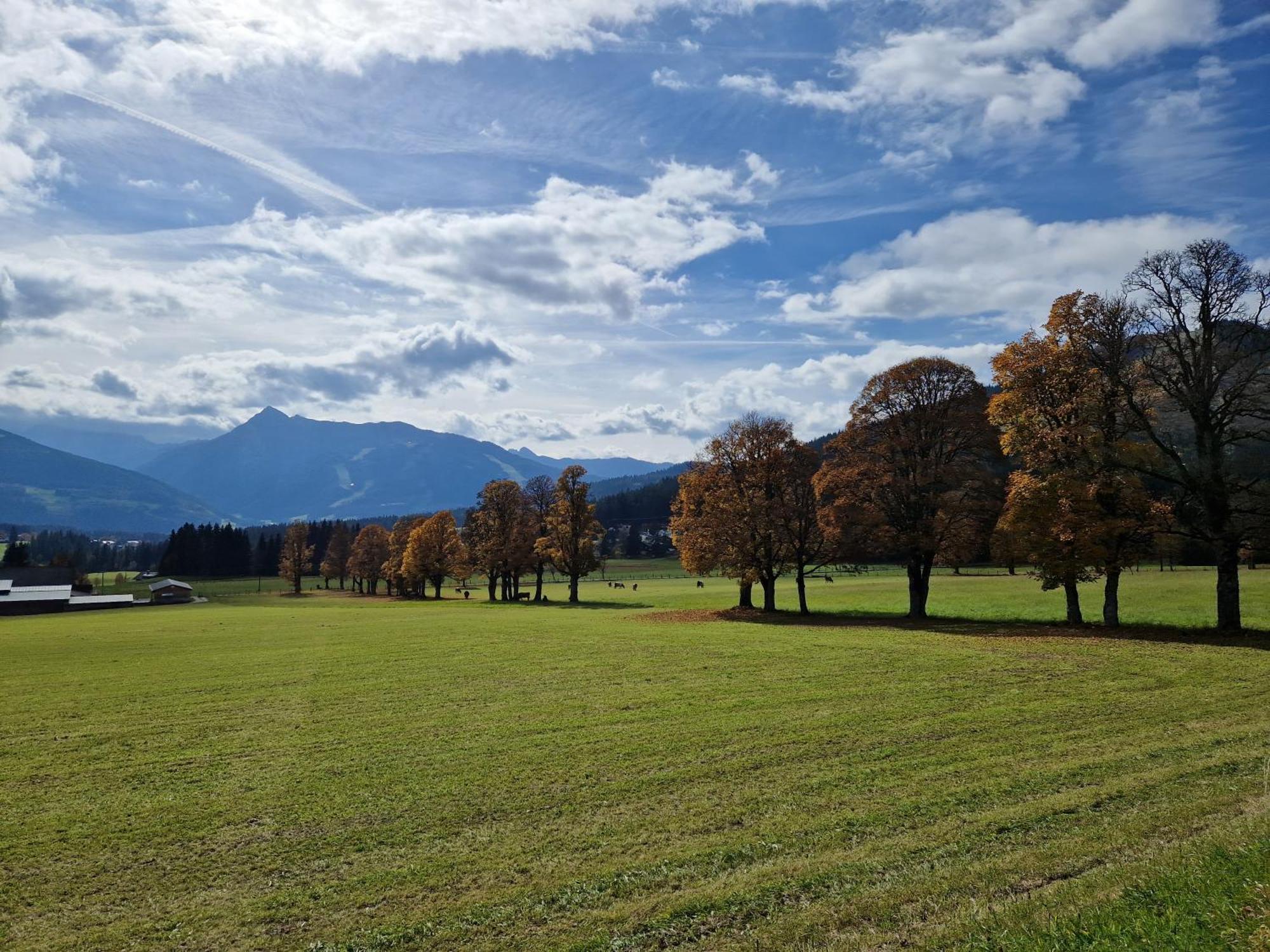 Romantikapartment Mit Sommercard Ramsau am Dachstein Eksteriør billede