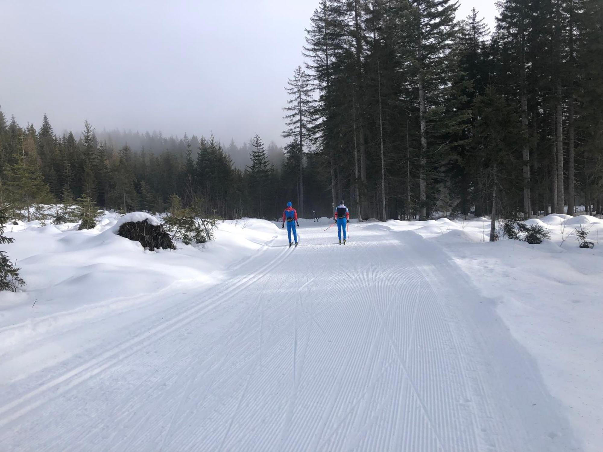 Romantikapartment Mit Sommercard Ramsau am Dachstein Eksteriør billede