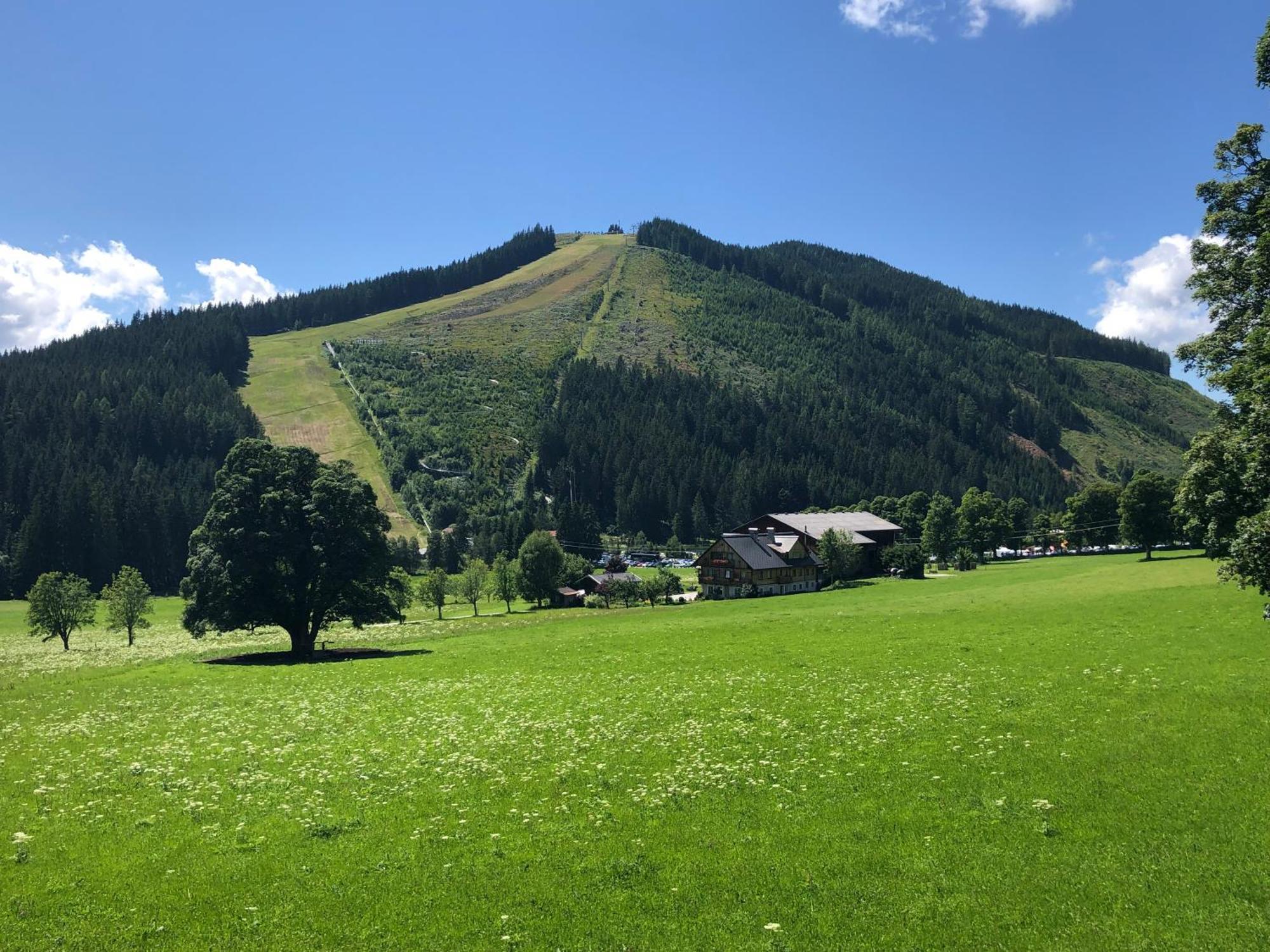 Romantikapartment Mit Sommercard Ramsau am Dachstein Eksteriør billede