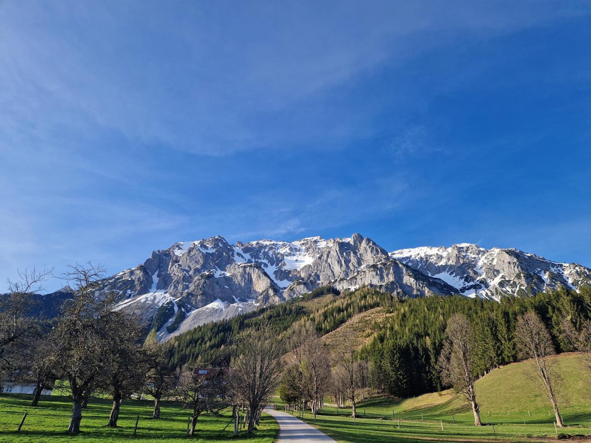 Romantikapartment Mit Sommercard Ramsau am Dachstein Eksteriør billede