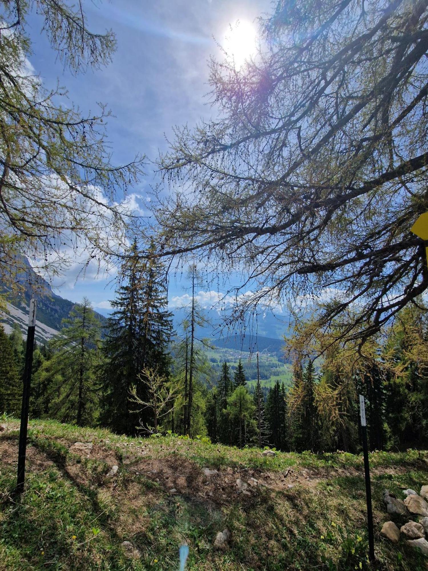 Romantikapartment Mit Sommercard Ramsau am Dachstein Eksteriør billede