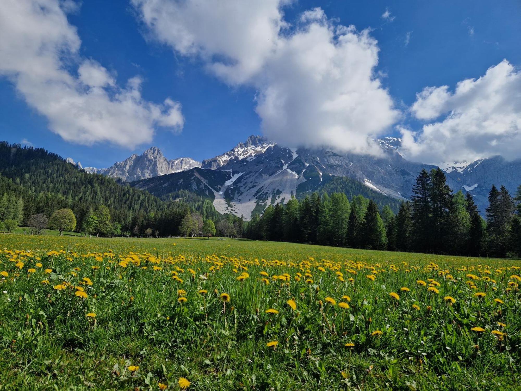 Romantikapartment Mit Sommercard Ramsau am Dachstein Eksteriør billede