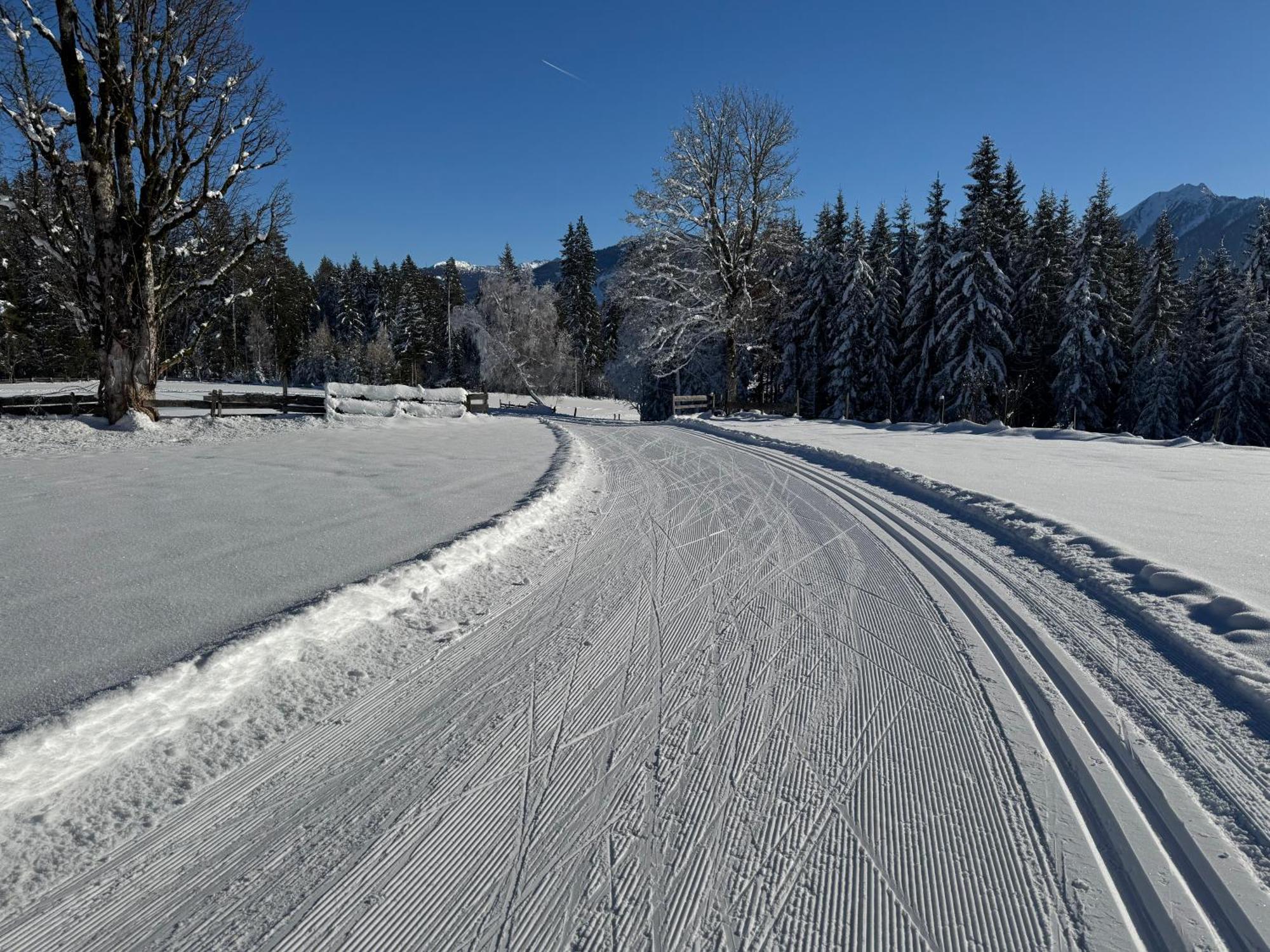 Romantikapartment Mit Sommercard Ramsau am Dachstein Eksteriør billede
