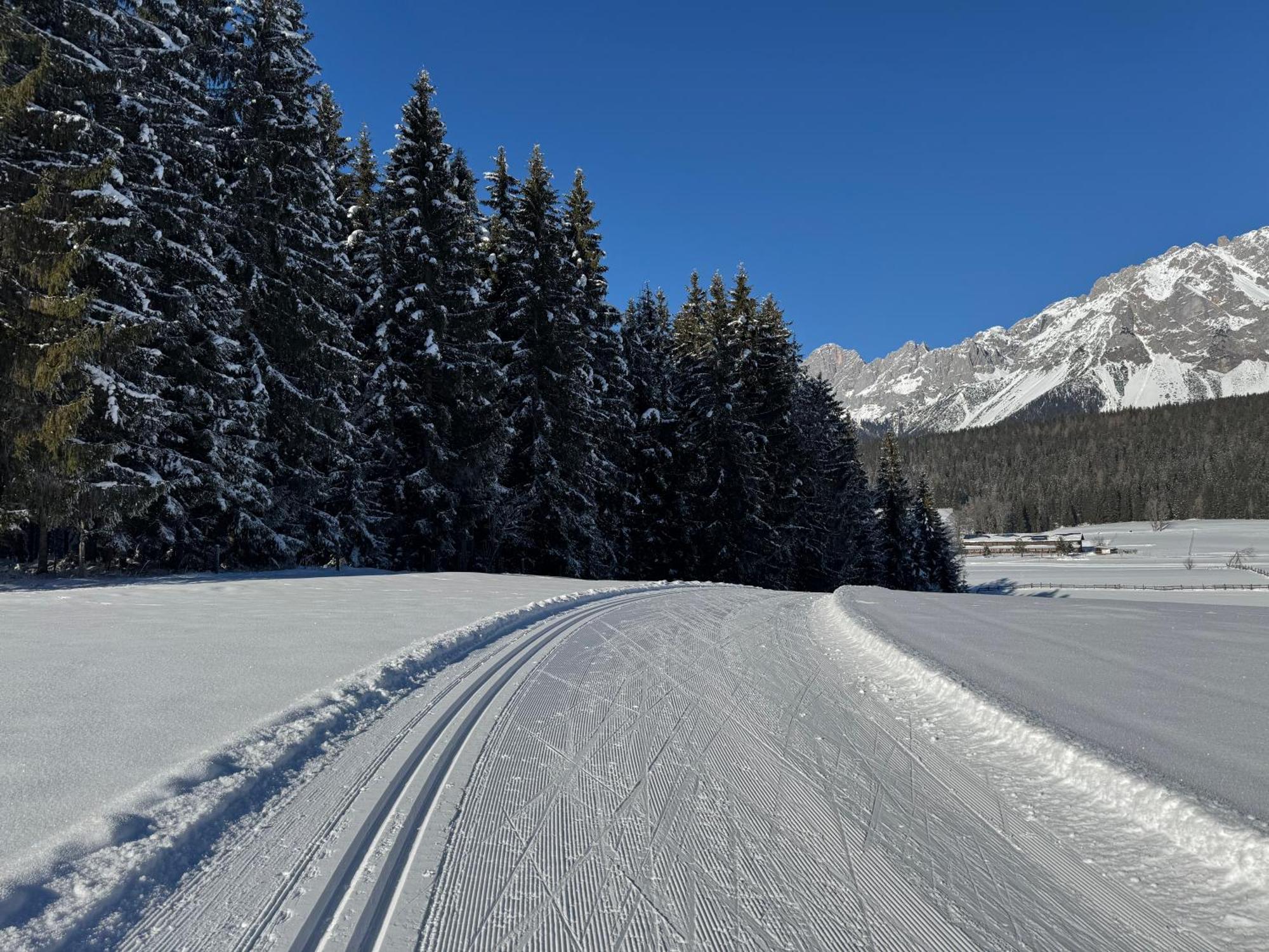 Romantikapartment Mit Sommercard Ramsau am Dachstein Eksteriør billede