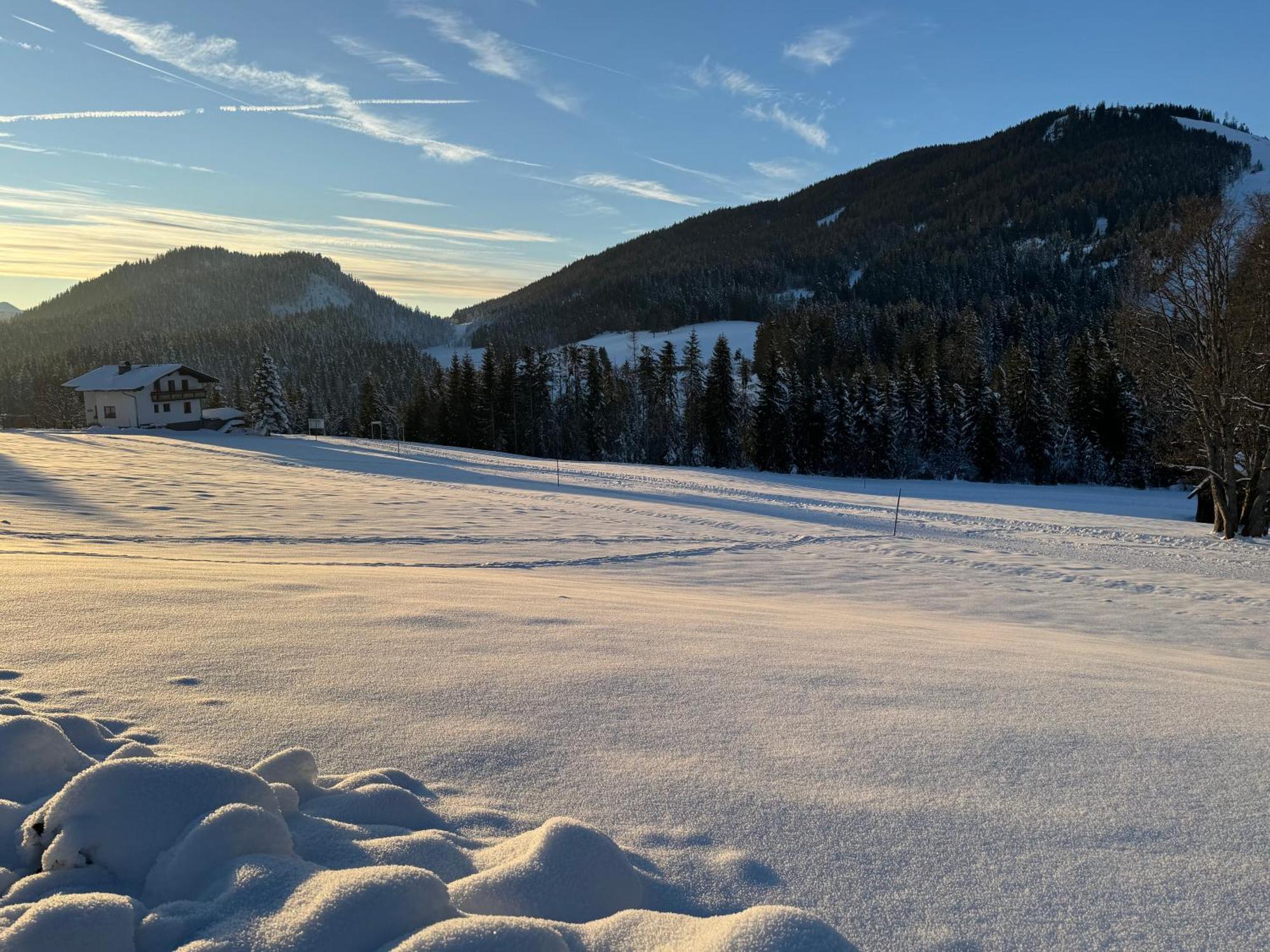 Romantikapartment Mit Sommercard Ramsau am Dachstein Eksteriør billede