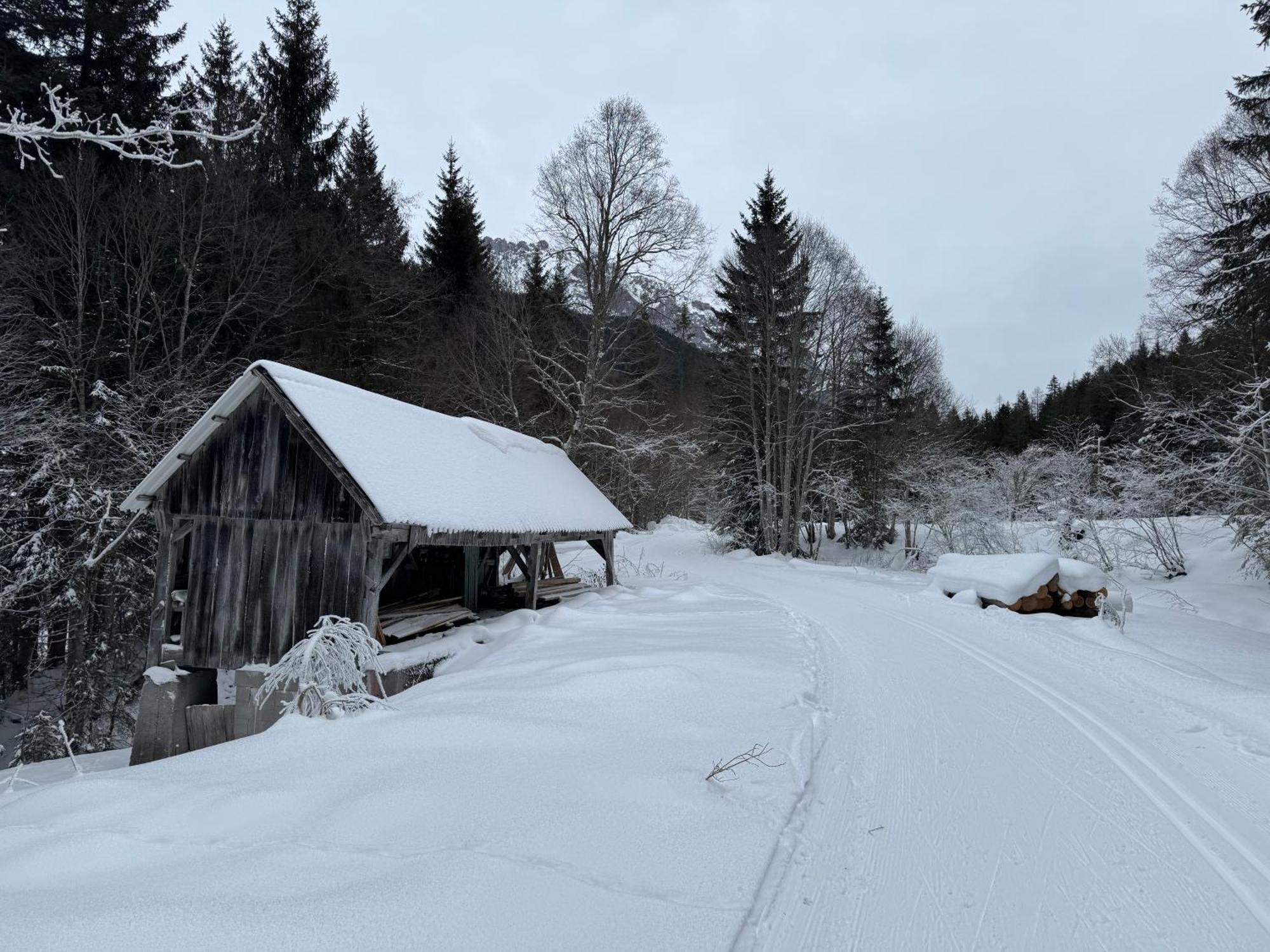 Romantikapartment Mit Sommercard Ramsau am Dachstein Eksteriør billede